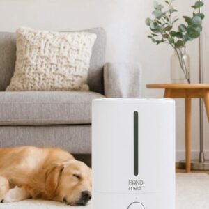 بخور سرد ۴.۵ لیتری باندی مد مدل BMH-206